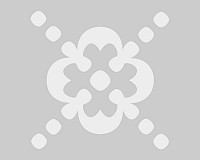 🗞️ *బ్రేకింగ్ న్యూస్* *దేశం మరియు రాష్ట్రాల నుండి  సాయంత్రం ముఖ్య వార్తలు