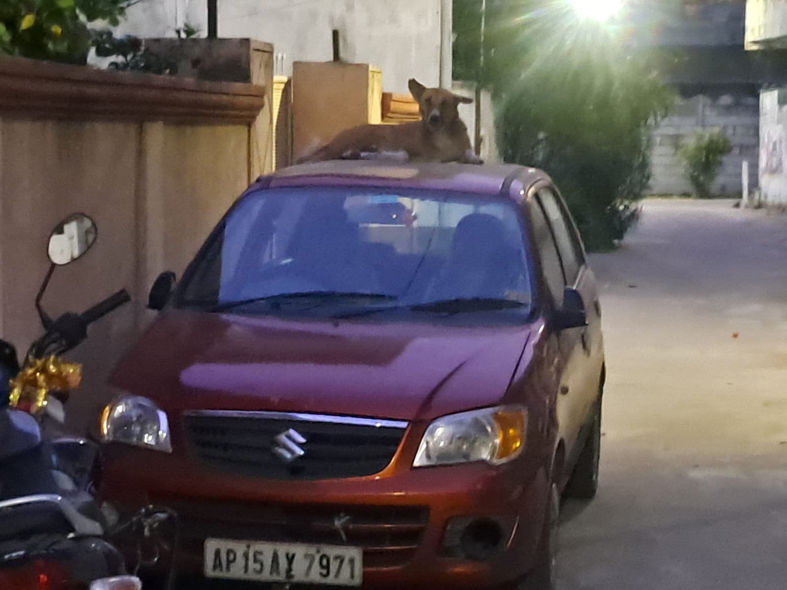 IMG-20250806-WA0003