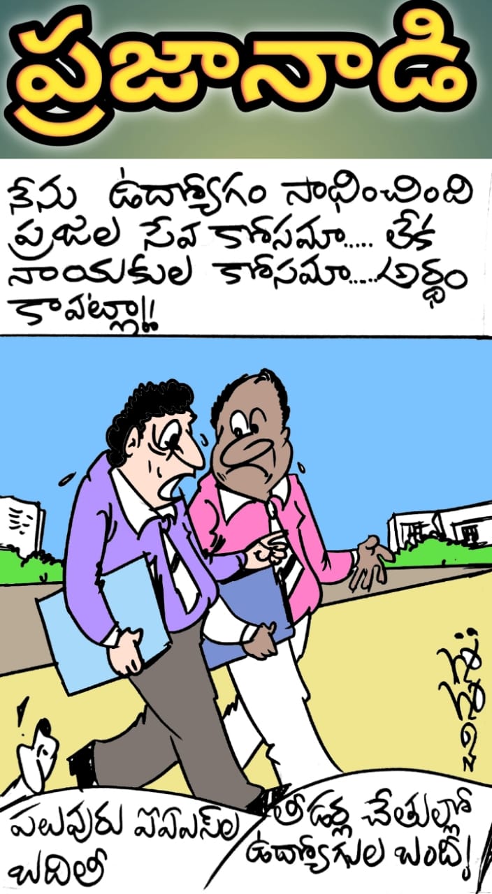 IMG-20251226-WA0016(1)