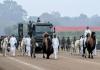 రిపబ్లిక్ డే పరేడ్‌లో తొలిసారి ‘యానిమల్ కంటింజెంట్’