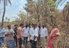 కన్నాపూర్ లో కాలిన ఈత - తాటి వనం  సందర్శించిన మాజీ జడ్పీ చైర్ పర్సన్ దావ వసంత సురేష్