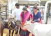 గోవుల సంరక్షణకు గోశాల ఏర్పాటు అభినందనీయం