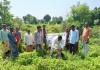 వెంకటాపూర్‌లో వాటర్ హార్వెస్టింగ్ పాండ్ పనులు ప్రారంభం