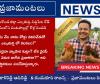 “ఒక్కసారిగా 2000 నాటు కోళ్లు! ఎల్కతుర్తిలో కొక్కొరొకో కలకలం”