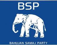 స్థానిక ఎన్నికల బరిలోకి ఏనుగు పార్టీ