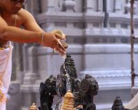 శ్రీగిరి వెంకటేశ్వర స్వామి టెంపుల్ లో ప్రత్యేక పూజలు