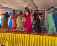 ఇబ్రహీంపట్నం ప్రభుత్వ జూనియర్ కళాశాలలో ఘనంగా  