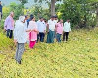 రైతు ప్రభుత్వం అంటే రైతులను గోస పెట్టడమా? — దావ వసంత సురేష్ ప్రభుత్వంపై విమర్శ