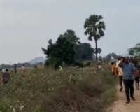 ఎల్కతుర్తిలో సంచలనం: గుర్తు తెలియని వ్యక్తులు వదిలివెళ్లిన 2,000 నాటు కోళ్లు