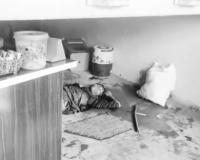 భైంసాలో అనుమానాస్పద సంబంధంపై ఘోర హత్య