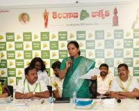 తెలంగాణ జాగృతి అధ్యయన కమిటీల ప్రాథమిక నివేదిక 