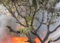 నాంపల్లి ఎగ్జిబిషన్‌కు ఎవరూ రావొద్దు: సీపీ సజ్జనార్