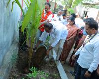 స్మశాన వాటికలో చెట్లు నాటిన ఎమ్మెల్యే, మున్సిపల్ చైర్ పర్సన్