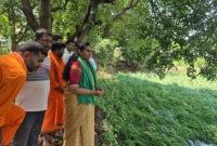 అకాల వర్షంతో పంట దెబ్బతిన్న వరి,మామిడి తోటలు  పరిశీలించిన మాజీ జెడ్పీ చైర్పర్సన్ వసంత 