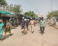 ధర్మపురి పట్టణ లో ట్రెయిన్డ్ డాగ్స్  సహాయంతో నారకోటిక్ నిషేధిత గంజాయి మధిక ద్రవ్యాల  ప్రత్యేక తనిఖీలు 