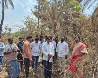 కన్నాపూర్ లో కాలిన ఈత - తాటి వనం  సందర్శించిన మాజీ జడ్పీ చైర్ పర్సన్ దావ వసంత సురేష్