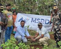 మా స్పోర్ట్స్ అండ్ రూరల్ డెవలప్‌మెంట్ ఫౌండేషన్ (ఎంఎస్  ఆర్ డి  ఎఫ్) ఆధ్వర్యంలో  200 మొక్కలు నాటే కార్యక్రమం