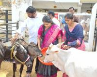 గోవుల సంరక్షణకు గోశాల ఏర్పాటు అభినందనీయం