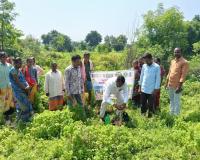 వెంకటాపూర్‌లో వాటర్ హార్వెస్టింగ్ పాండ్ పనులు ప్రారంభం
