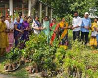 ధరూర్ క్యాంప్‌లో ఉచిత మొక్కల పంపిణీ