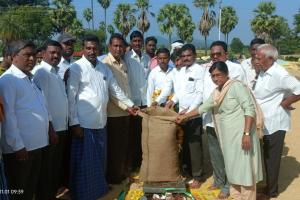 వరి ధాన్యం కొనుగోలు కేంద్రాన్ని ప్రారంభించిన మార్కెట్ చైర్మన్ బీమా సంతోష్
