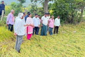 రైతు ప్రభుత్వం అంటే రైతులను గోస పెట్టడమా? — దావ వసంత సురేష్ ప్రభుత్వంపై విమర్శ