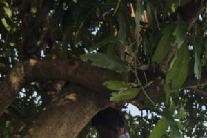 ఆరోగ్య పరిస్థితి బాగాలేక చెట్టు ఉరివేసుకొని యువకుని మృతి