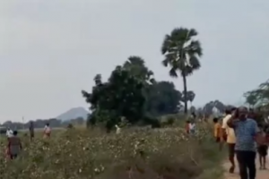 ఎల్కతుర్తిలో సంచలనం: గుర్తు తెలియని వ్యక్తులు వదిలివెళ్లిన 2,000 నాటు కోళ్లు