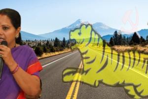 మున్సిపల్ ఎన్నికల బరిలో తెలంగాణ జాగృతి?