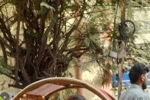 స్కందగిరి సుబ్రహ్మణ్యస్వామి టెంపుల్ లో పాల కావడి ఉత్సవాలు l ll