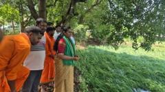 అకాల వర్షంతో పంట దెబ్బతిన్న వరి,మామిడి తోటలు  పరిశీలించిన మాజీ జెడ్పీ చైర్పర్సన్ వసంత 