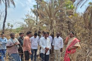 కన్నాపూర్ లో కాలిన ఈత - తాటి వనం  సందర్శించిన మాజీ జడ్పీ చైర్ పర్సన్ దావ వసంత సురేష్