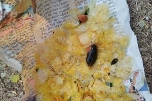 అటుకుల్లో బొద్దింక.. 