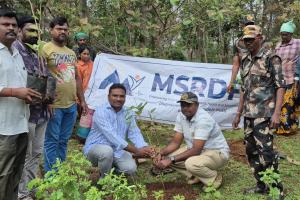 మా స్పోర్ట్స్ అండ్ రూరల్ డెవలప్‌మెంట్ ఫౌండేషన్ (ఎంఎస్  ఆర్ డి  ఎఫ్) ఆధ్వర్యంలో  200 మొక్కలు నాటే కార్యక్రమం