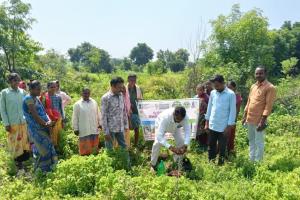 వెంకటాపూర్‌లో వాటర్ హార్వెస్టింగ్ పాండ్ పనులు ప్రారంభం