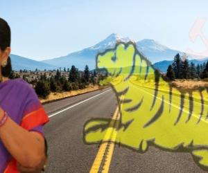 మున్సిపల్ ఎన్నికల బరిలో తెలంగాణ జాగృతి?