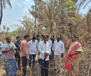 కన్నాపూర్ లో కాలిన ఈత - తాటి వనం  సందర్శించిన మాజీ జడ్పీ చైర్ పర్సన్ దావ వసంత సురేష్