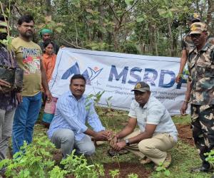 మా స్పోర్ట్స్ అండ్ రూరల్ డెవలప్‌మెంట్ ఫౌండేషన్ (ఎంఎస్  ఆర్ డి  ఎఫ్) ఆధ్వర్యంలో  200 మొక్కలు నాటే కార్యక్రమం