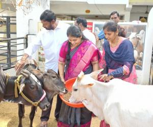 గోవుల సంరక్షణకు గోశాల ఏర్పాటు అభినందనీయం